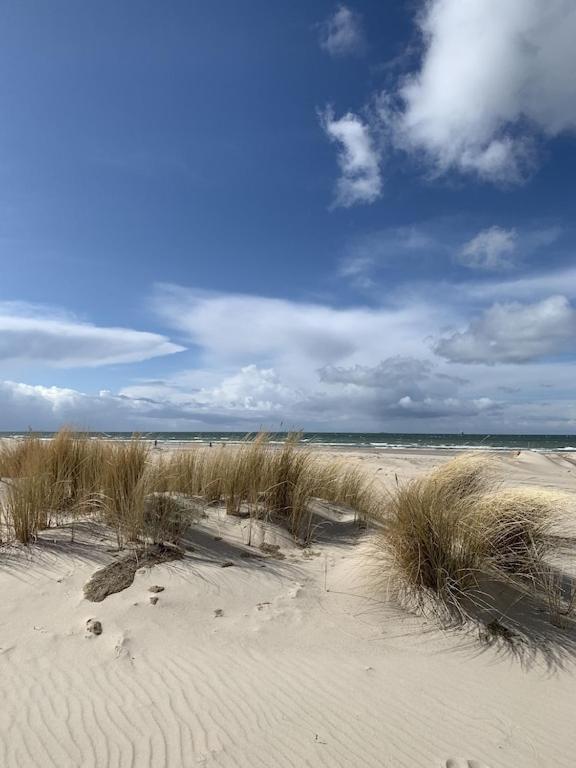 Villa Seeblick Warnemuende - Fewo Mit Meerblick Und Balkon Direkt Am Strand Fuer 2-4 Pers Росток Экстерьер фото